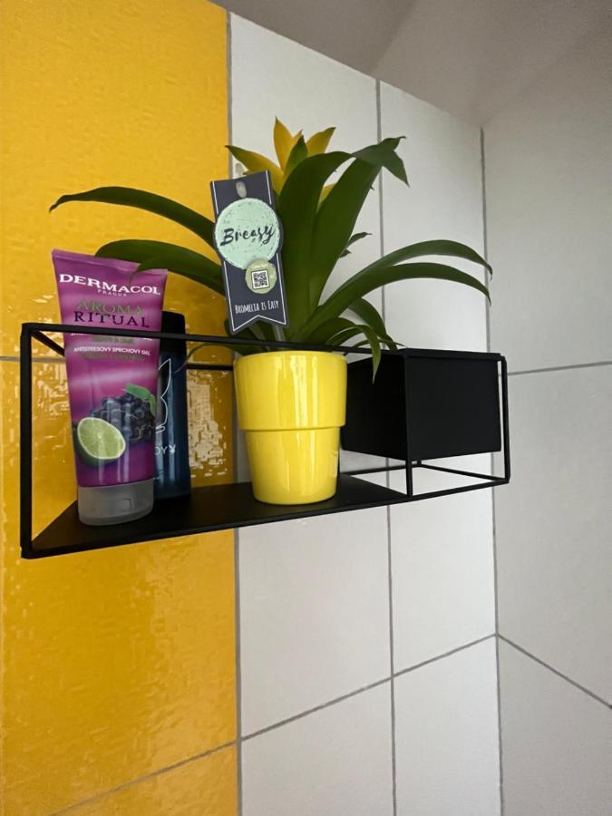 Monstera I Apartment Kolín Екстериор снимка