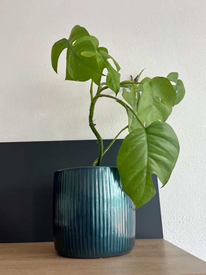 Monstera I Apartment Kolín Екстериор снимка